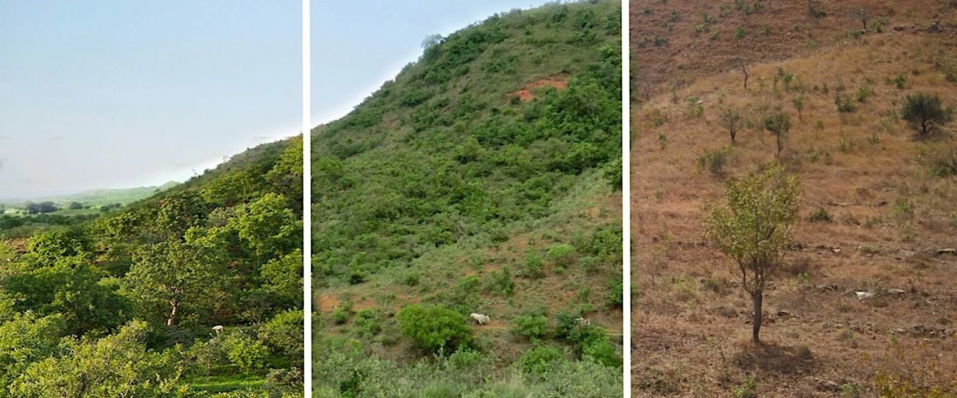 Analyzing Land Price Trends Over Time
