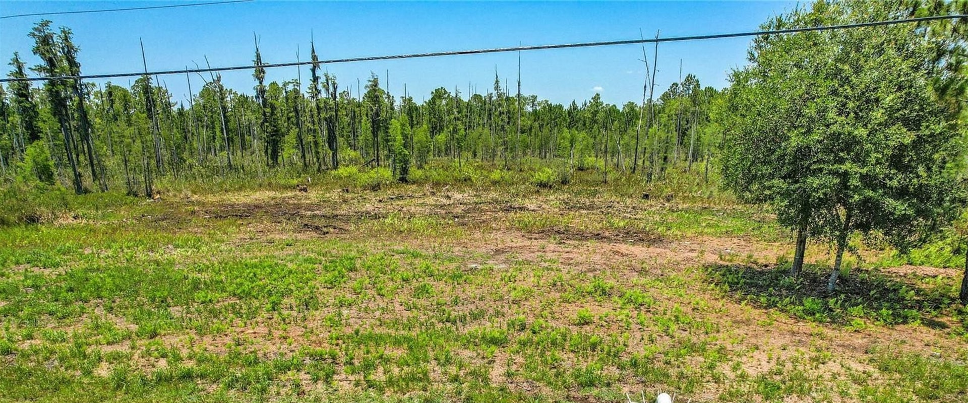 Raw Land for Sale in Florida