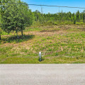 Raw Land for Sale in Florida