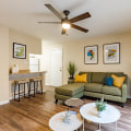 Apartments for Rent in Florida: What You Need to Know