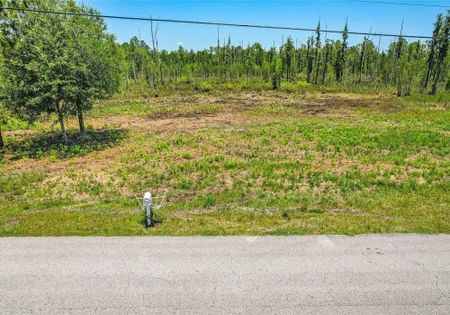 Raw Land for Sale in Florida